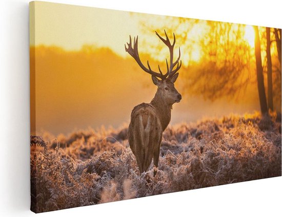 Artaza Canvas Schilderij Hert In Bos Tijdens De Zonsopkomst - 120x60 - Groot - Foto Op Canvas - Canvas Print