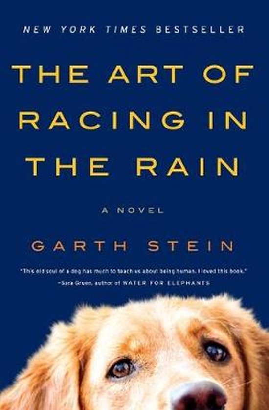 The Art of Racing in the Rain - cover