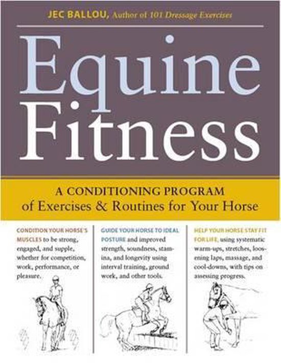 Equine Fitness