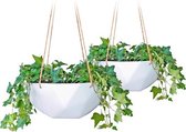 Blumfeldt Laren Hangpot Ø 28 cm - Set van 2  - Hangmand - Bloempot - Hanging basket - Voor binnen en buiten - natuurlijke touwen - Polystone