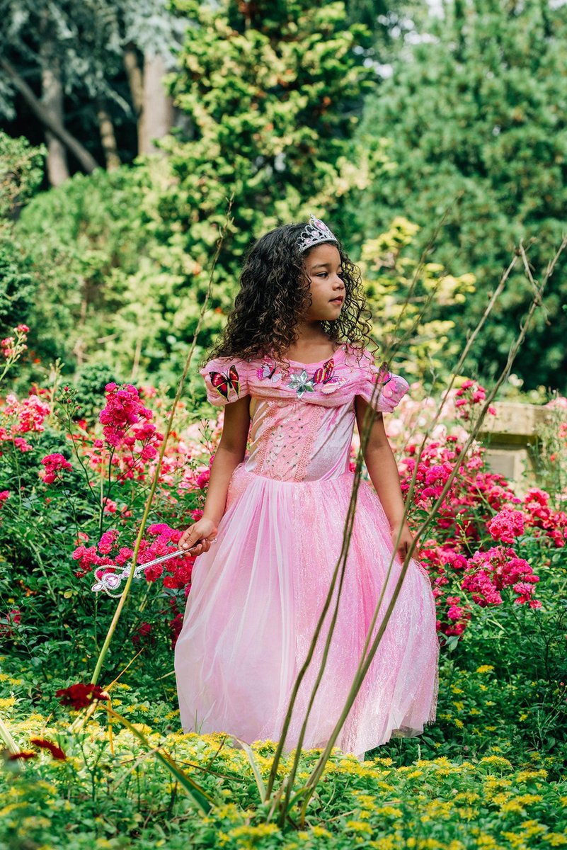 Het Betere Merk prinsessenjurk meisje - carnavalskleding - Roze vlinders - Verkleedkleren meisje - Maat 122/128 - Accessoires - Roze jurk — afbeelding 4
