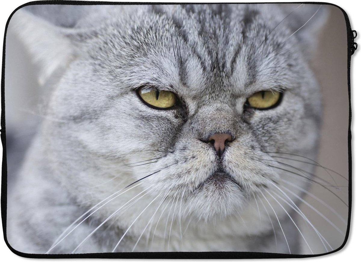 Laptophoes 14 inch - Dier - Kat - Grijs - Laptop sleeve - Binnenmaat 33x23 cm - Zwarte achterkant