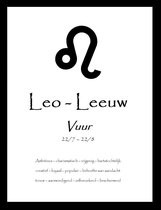 Sterrenbeeld │Leeuw │Leo │ Poster │Magnetisch