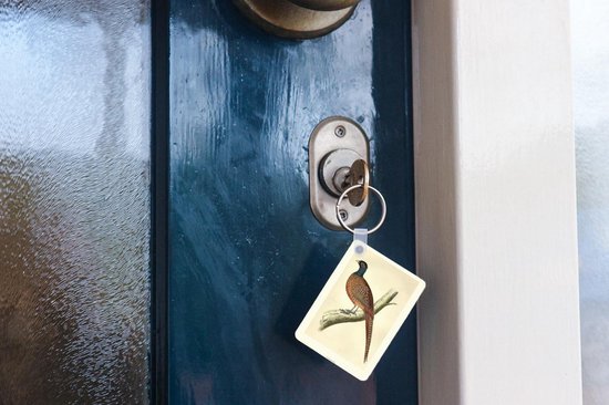 Porte-clés Antique Bird Prints - Antique oiseau imprimé faisan porte-clés en plastique - porte-clés rectangulaire avec photo