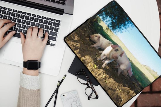 Laptophoes 13 inch - Varkens - Dieren - Landschap - Laptop sleeve - Binnenmaat 32x22,5 cm - Zwarte achterkant