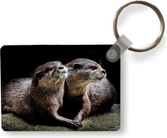 Porte-clés Otter - Les loutres se tiennent mutuellement porte-clés en  plastique 