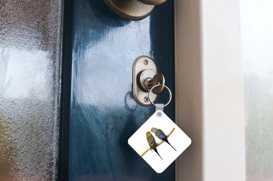 Porte-clés Perruches sur fond blanc - Deux perruches de l'arrière sur fond blanc Porte-clés en plastique - Porte-clés carré avec photo