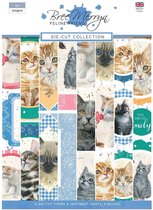 Creative Expressions - Feline friends Die Cut collection