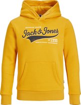 JACK&JONES JUNIOR JJELOGO SWEAT HOOD 2 COL 21/22 NOOS JR Jongens Trui - Maat 140
