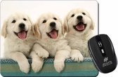 3 Golden Retriever Pups Muismat