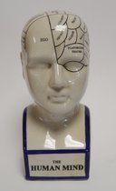 een porseleinen Phrenology hoofd