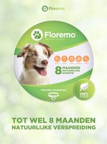 Floremo - Vlooienband Hond - Vlooien - Vlooienspray - Vlooienband - Vlooien hond - Diervriendelijk - Verstelbaar