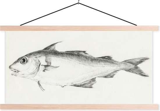 Porte-affiche avec affiche - Affiche scolaire - Poisson, à gauche - peinture de Jean Bernard - 90x45 cm - Lattes vierges