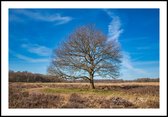 Poster Drenthe - Anton van Beek Collectie 13x18 cm