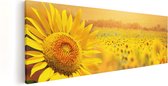 Artaza - Peinture sur toile - Champ de tournesols avec lever de soleil - 120 x 40 - Groot - Photo sur toile - Impression sur toile