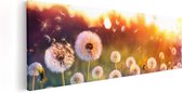 Artaza - Peinture sur toile - Pissenlits au coucher du soleil - 90x30 - Photo sur toile - Impression sur toile