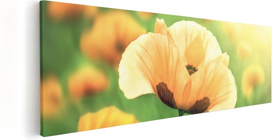 Artaza Canvas Schilderij Oranje Klaproos Bloemen  - 120x40 - Groot - Foto Op Canvas - Canvas Print