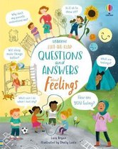 Questions and Answers- Lift-the-Flap Questions and Answers About Feelings