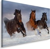 Schilderij - Galopperende paarden in de sneeuw, premium print, wanddecoratie