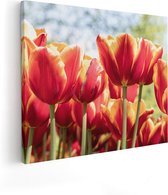 Artaza Canvas Schilderij Oranje Rode Tulpen  - 50x40 - Foto Op Canvas - Canvas Print