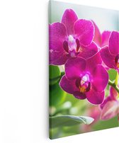 Artaza Canvas Schilderij Roze Orchidee Bloemen - 80x120 - Groot - Foto Op Canvas - Canvas Print