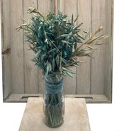 Droogbloemen in glas - grassoort - groen - 6x6x33cm