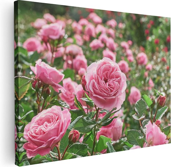 Artaza Canvas Schilderij Roze Rozen Bloemenveld - 80x60 - Foto Op Canvas - Canvas Print