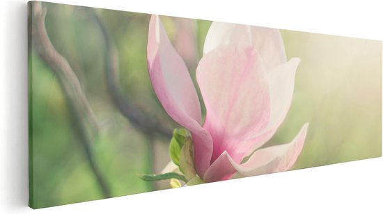 Artaza Canvas Schilderij Roze Magnolia Bloem  - 60x20 - Foto Op Canvas - Canvas Print