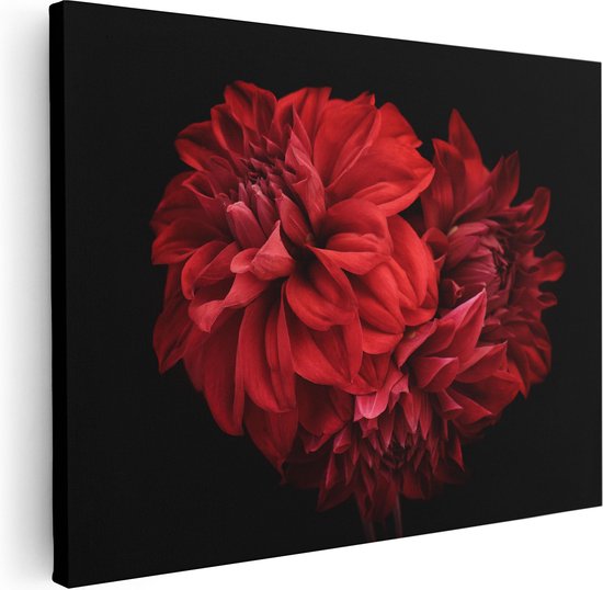 Artaza Canvas Schilderij Rode Dahlia Bloemen - 40x30 - Klein - Foto Op Canvas - Canvas Print