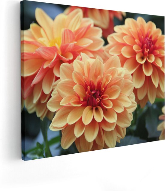 Artaza Canvas Schilderij Oranje Dahlia Bloemen  - 50x40 - Foto Op Canvas - Canvas Print