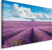 Schilderij -  Prachtig Lavendelveld  , Wanddecoratie , Premium print