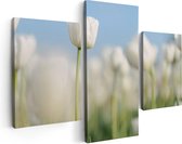 Artaza Toile Peinture Triptyque Tulipes Witte - Fleurs - 90x60 - Photo Sur Toile - Impression Sur Toile