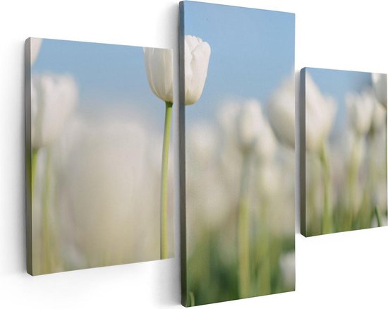 Artaza Canvas Schilderij Drieluik Witte Tulpen - Bloemen - 90x60 - Foto Op Canvas - Canvas Print