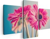 Artaza Canvas Schilderij Drieluik Twee Roze Anjers - Bloemen - 90x60 - Foto Op Canvas - Canvas Print