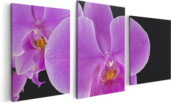 Artaza Canvas Schilderij Drieluik Licht Paarse Orchidee - Bloem - 120x60 - Foto Op Canvas - Canvas Print