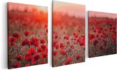 Artaza Canvas Schilderij Drieluik Rode Klaprozen Bloemenveld Zonsondergang - 120x60 - Foto Op Canvas - Canvas Print