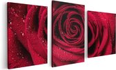 Artaza - Triptyque de peinture sur toile - Rose rouge avec des gouttes d'eau - Bloem - 120x60 - Photo sur toile - Impression sur toile