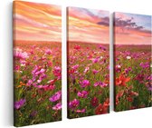 Artaza - Triptyque de peinture sur toile - Champ de fleurs de Kosmos coloré - 120x80 - Photo sur toile - Impression sur toile