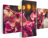 Artaza Canvas Schilderij Drieluik Roze Orchidee Bloemen - 90x60 - Foto Op Canvas - Canvas Print
