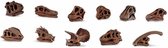 speelset Dinosaur skulls Toob junior bruin 11-delig