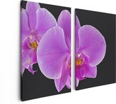 Artaza Canvas Schilderij Tweeluik Licht Paarse Orchidee - Bloem - 80x60 - Foto Op Canvas - Canvas Print