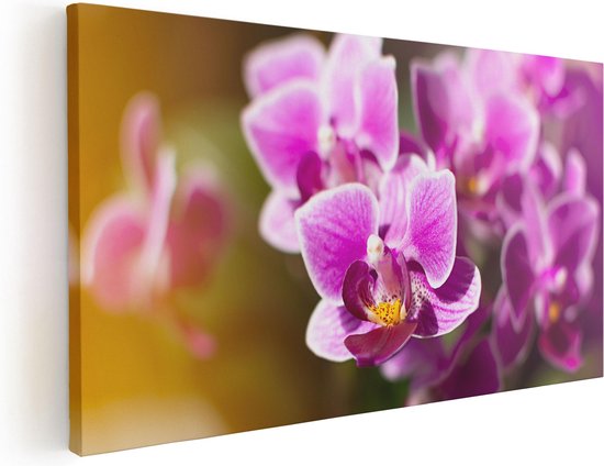 Artaza Canvas Schilderij Paarse Orchidee Bloemen - 40x20 - Klein - Foto Op Canvas - Canvas Print