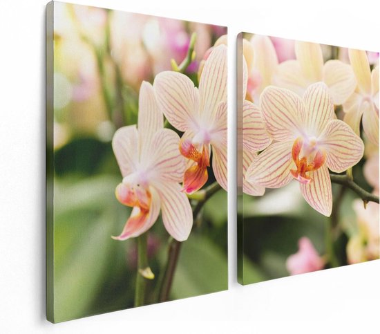 Artaza Canvas Schilderij Tweeluik Gestreepte Witte Orchidee Bloemen - 120x80 - Foto Op Canvas - Canvas Print