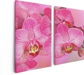 Artaza - Diptyque de peinture sur toile - Fleurs d'orchidées roses - 80x60 - Photo sur toile - Impression sur toile