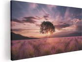 Artaza Canvas Schilderij Bloemenveld Met Lavendel Bij Zonsondergang - 80x40 - Foto Op Canvas - Canvas Print