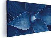 Artaza Canvas Schilderij Blauwe Agave Plant - Bloem - 80x40 - Foto Op Canvas - Canvas Print
