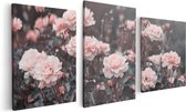 Artaza Canvas Schilderij Drieluik Roze Rozen Bloemen  - 120x60 - Foto Op Canvas - Canvas Print