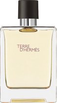 Hermes Hermes Earth en 100 vamp m