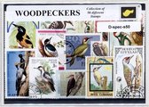Spechten – Luxe postzegel pakket (A6 formaat) : collectie van 50 verschillende postzegels van spechten – kan als ansichtkaart in een A6 envelop - authentiek cadeau - kado - geschenk - kaart - vogel - vogels - specht - Picidae - Piciformes - hameren