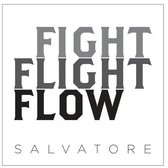 Fight Flight Flow